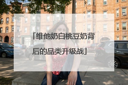 维他奶白桃豆奶背后的品类升级战