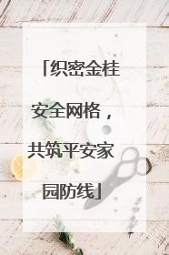 织密金桂安全网格，共筑平安家园防线