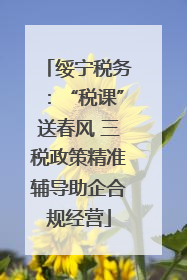 绥宁税务：“税课”送春风 三税政策精准辅导助企合规经营
