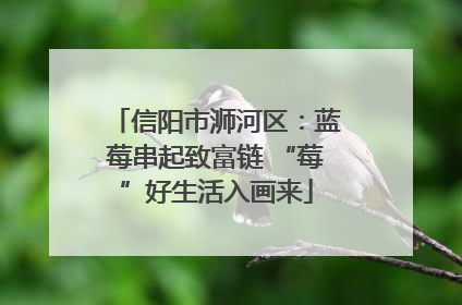 信阳市浉河区：蓝莓串起致富链 “莓”好生活入画来