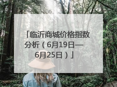 临沂商城价格指数分析（6月19日—6月25日）