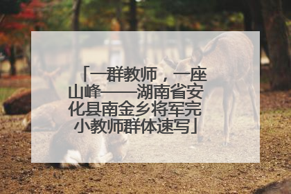 一群教师，一座山峰——湖南省安化县南金乡将军完小教师群体速写