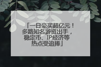 一日豪买超亿元！多路知名游资出手，稳定币、IP经济等热点受追捧
