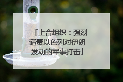 上合组织：强烈谴责以色列对伊朗发动的军事打击