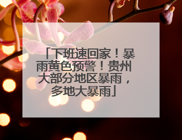下班速回家！暴雨黄色预警！贵州大部分地区暴雨，多地大暴雨