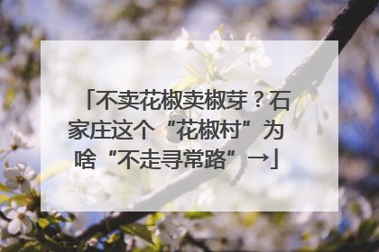 不卖花椒卖椒芽？石家庄这个“花椒村”为啥“不走寻常路”→