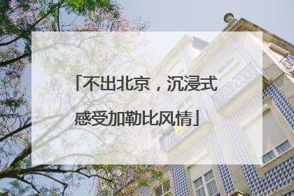不出北京，沉浸式感受加勒比风情