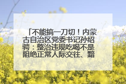 不能搞一刀切！内蒙古自治区党委书记孙绍骋：整治违规吃喝不是阻绝正常人际交往、黯淡人间烟火