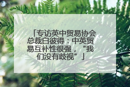 专访英中贸易协会总裁白彼得：中英贸易互补性很强，“我们没有歧视”