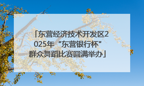 东营经济技术开发区2025年“东营银行杯”群众舞蹈比赛圆满举办