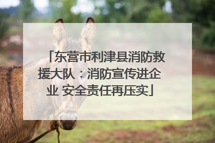 东营市利津县消防救援大队：消防宣传进企业 安全责任再压实