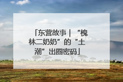 东营故事｜“槐林二奶奶”的“土潮”出圈密码