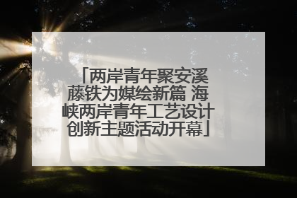 两岸青年聚安溪 藤铁为媒绘新篇 海峡两岸青年工艺设计创新主题活动开幕