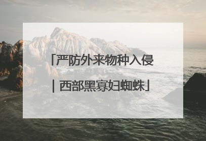 严防外来物种入侵｜西部黑寡妇蜘蛛