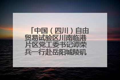 中国（四川）自由贸易试验区川南临港片区党工委书记谭荣兵一行赴岳阳城陵矶综保区考察