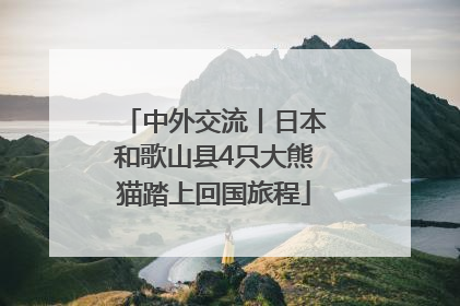 中外交流丨日本和歌山县4只大熊猫踏上回国旅程