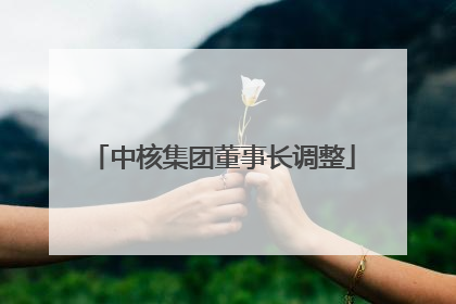 中核集团董事长调整