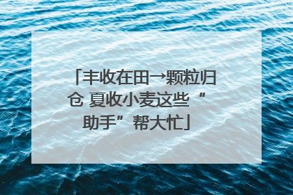 丰收在田→颗粒归仓 夏收小麦这些“助手”帮大忙