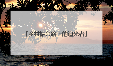 乡村振兴路上的追光者