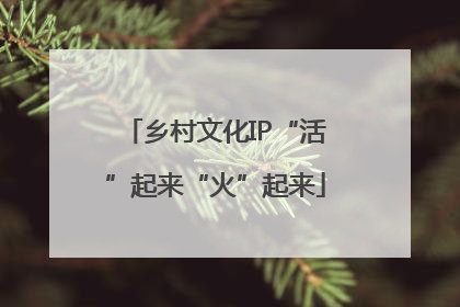 乡村文化IP“活”起来“火”起来