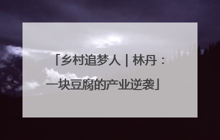 乡村追梦人｜林丹：一块豆腐的产业逆袭