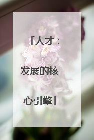 人才：发展的核心引擎