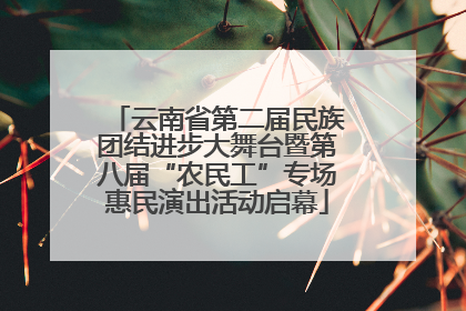 云南省第二届民族团结进步大舞台暨第八届“农民工”专场惠民演出活动启幕