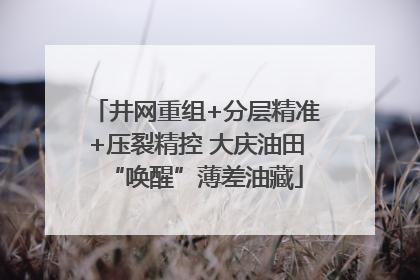 井网重组+分层精准+压裂精控 大庆油田“唤醒”薄差油藏