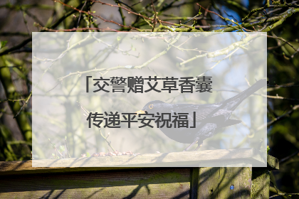 交警赠艾草香囊 传递平安祝福