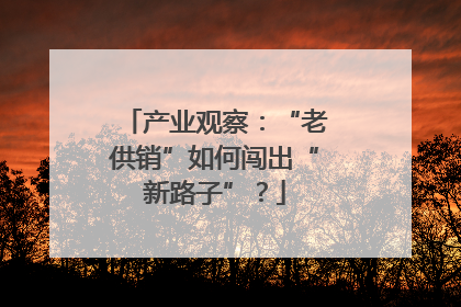 产业观察：“老供销”如何闯出“新路子”？