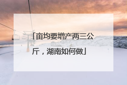 亩均要增产两三公斤，湖南如何做