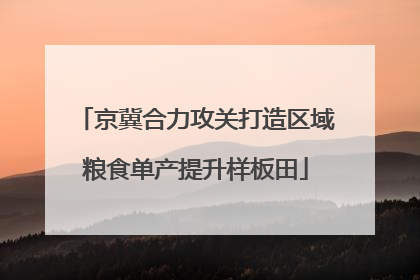 京冀合力攻关打造区域粮食单产提升样板田