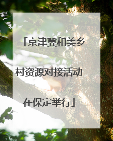 京津冀和美乡村资源对接活动在保定举行