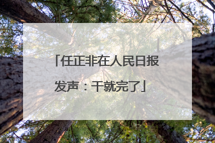 任正非在人民日报发声：干就完了