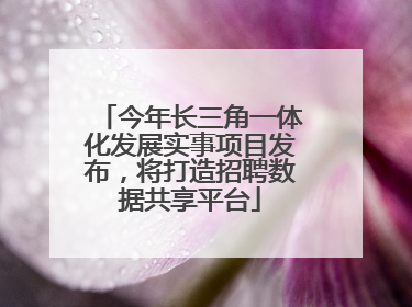 今年长三角一体化发展实事项目发布,将打造招聘数据共享平台