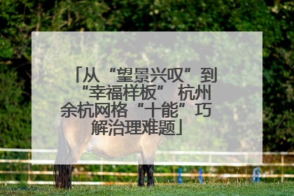 从“望景兴叹”到“幸福样板” 杭州余杭网格“十能”巧解治理难题