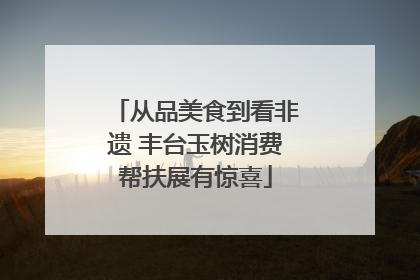 从品美食到看非遗 丰台玉树消费帮扶展有惊喜