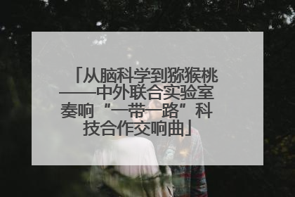 从脑科学到猕猴桃——中外联合实验室奏响“一带一路”科技合作交响曲