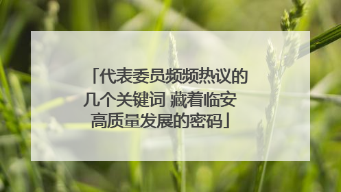 代表委员频频热议的几个关键词 藏着临安高质量发展的密码