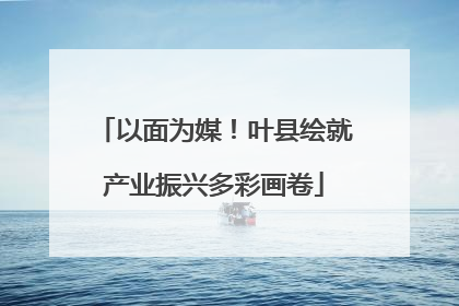 以面为媒！叶县绘就产业振兴多彩画卷