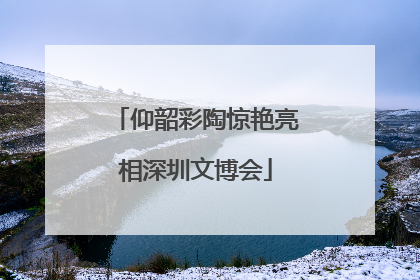 仰韶彩陶惊艳亮相深圳文博会