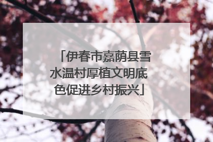 伊春市嘉荫县雪水温村厚植文明底色促进乡村振兴