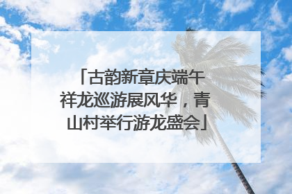 古韵新章庆端午 祥龙巡游展风华，青山村举行游龙盛会