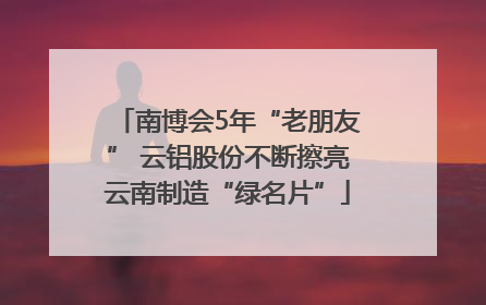 南博会5年“老朋友” 云铝股份不断擦亮云南制造“绿名片”