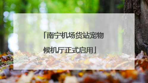 南宁机场货站宠物候机厅正式启用