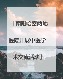 南阳哈密两地医院开展中医学术交流活动