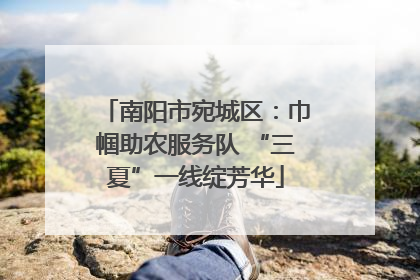 南阳市宛城区：巾帼助农服务队 “三夏”一线绽芳华