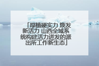 厚植硬实力 焕发新活力 山西全域系统构建活力迸发的派出所工作新生态