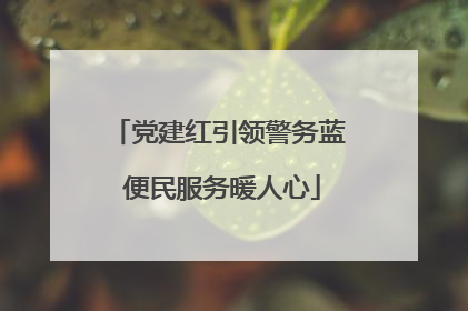 党建红引领警务蓝 便民服务暖人心