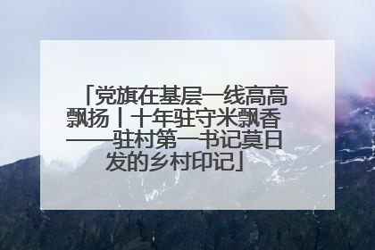 党旗在基层一线高高飘扬丨十年驻守米飘香——驻村第一书记莫日发的乡村印记